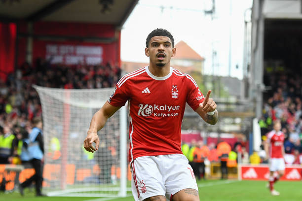 体育文化的 体育文化的