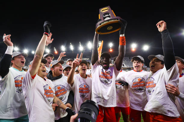 仅是一项体 仅是一项体